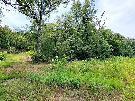 2nd image of 15534 State Highway 10