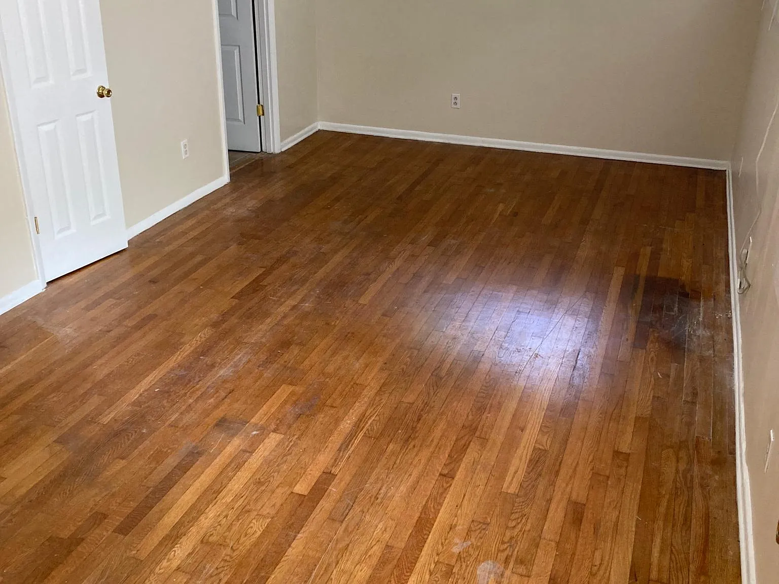 Studio, 675 sqft, $1,150 — Photo 4