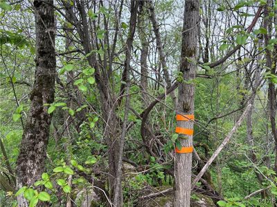 Sulphur Springs Rd, Newport, NY, 13416