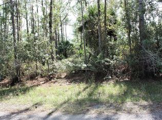 313 Rosanna Ave, Lehigh Acres, FL 33972