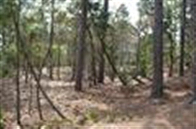 1st image of 135 Sugar Pine Drive LOT 167 PH11
