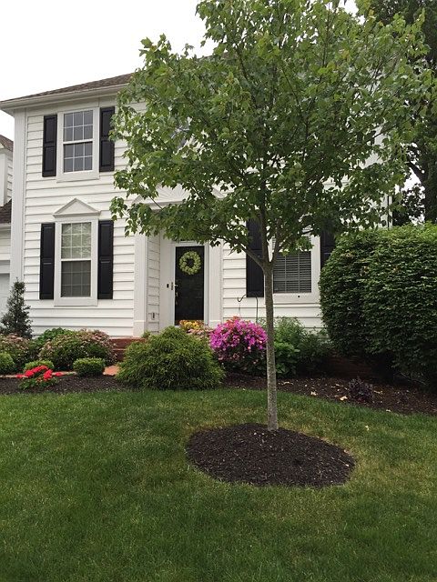 4949 Heath Gate Dr, New Albany, OH 43054 | Zillow
