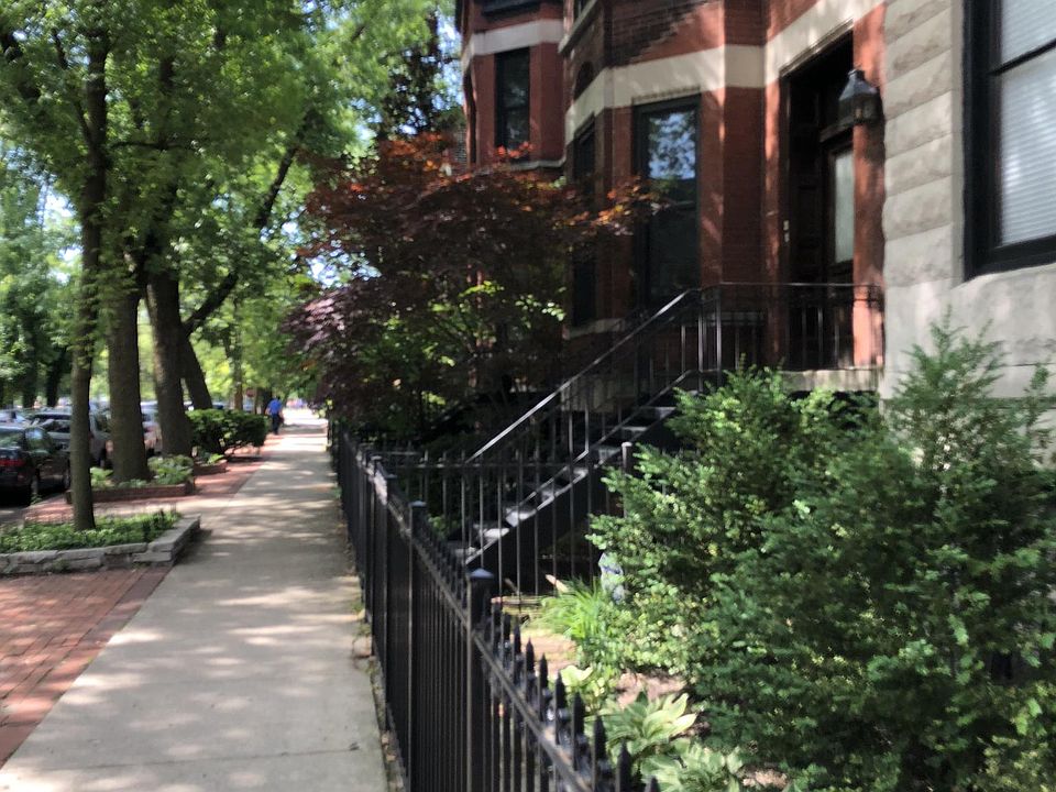 Tree lined street leading up to Oz Park