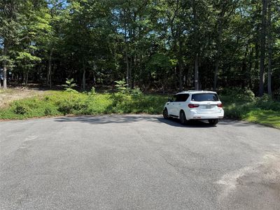 Samantha Lane, Pt Jefferson, NY, 11777