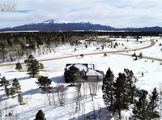 78 Moss Rock Ct, Divide, CO 80814