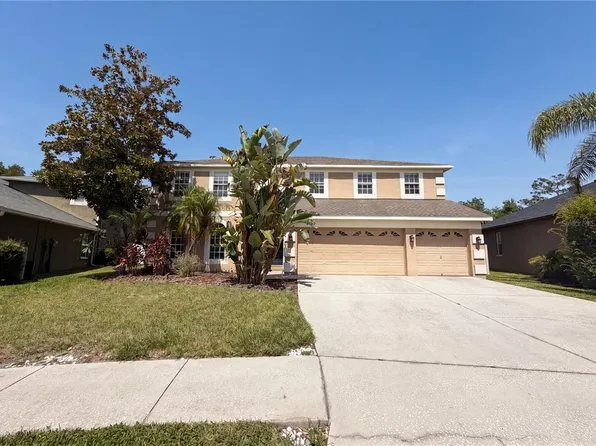3518 Braemar St, Land O Lakes, FL 34638