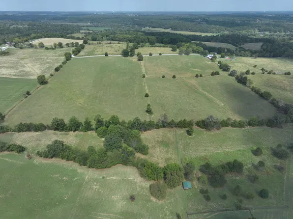 5 Acres Mount Sinai Road #2-B, Clever, MO 65631