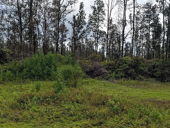 2nd image of 16-730 Aulii St Lot 17
