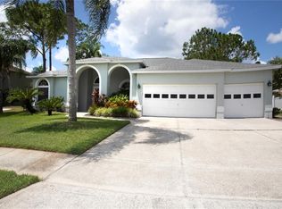 18204 Bittern Ave, Lutz, FL 33558