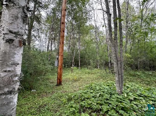 Victor Lake Rd, Biwabik, MN 55708