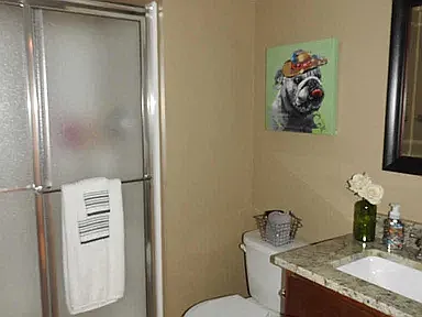 Bathroom (downstairs)
