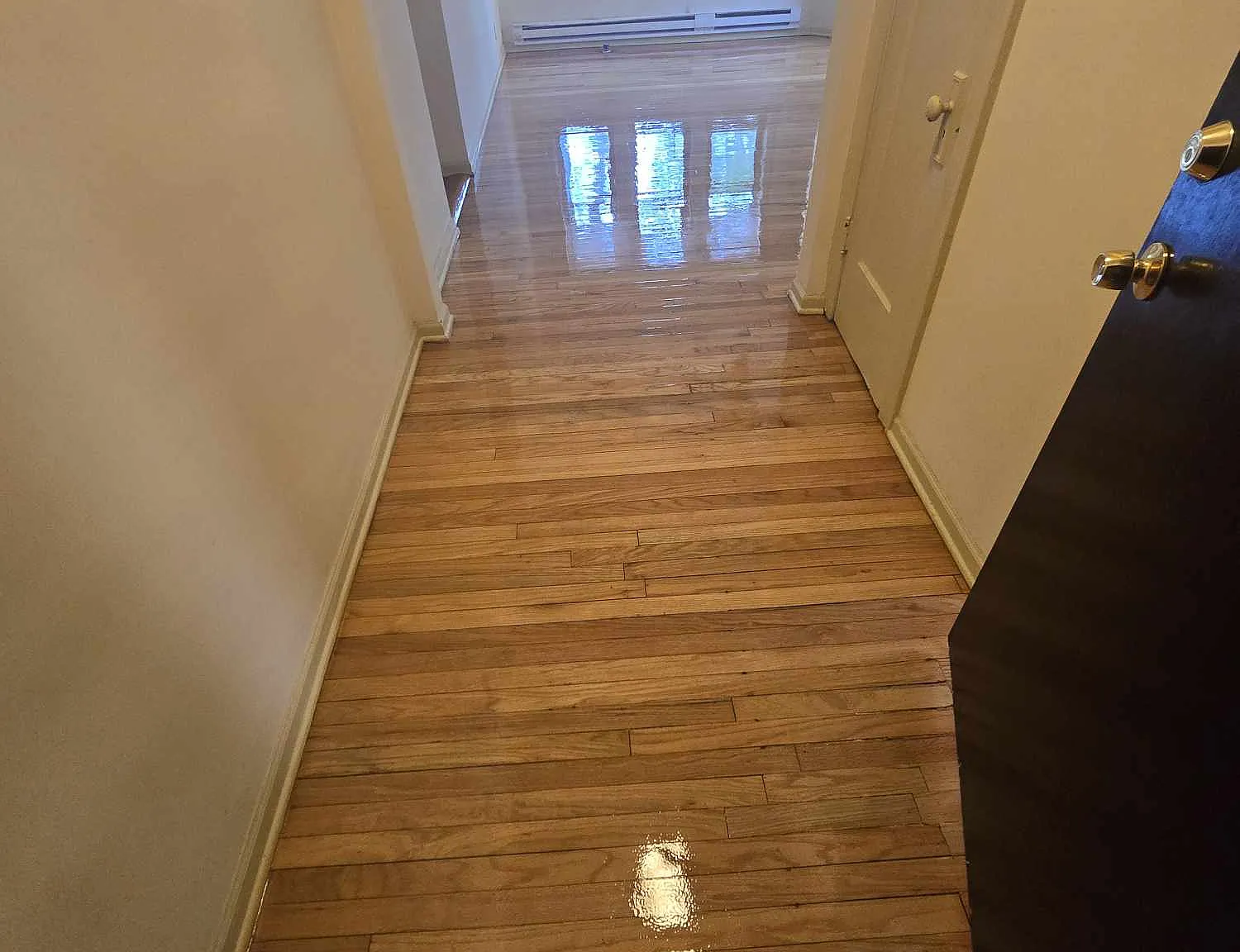 2 bed, 850 sqft, $1,225 — Photo 2