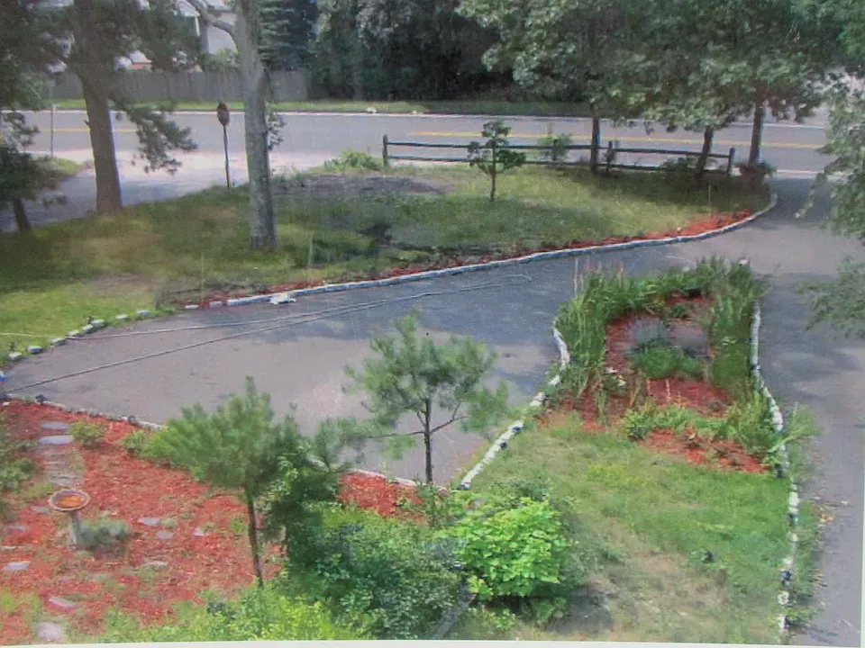 Beautiful Landscaping