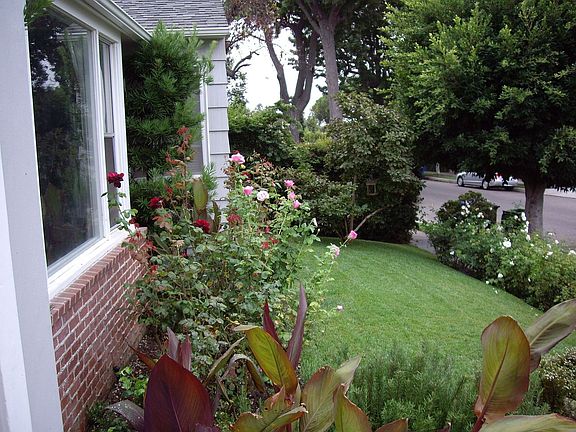 Front Yard