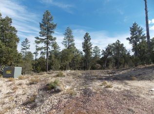 1863 Tenney Ln, Heber, AZ 85928