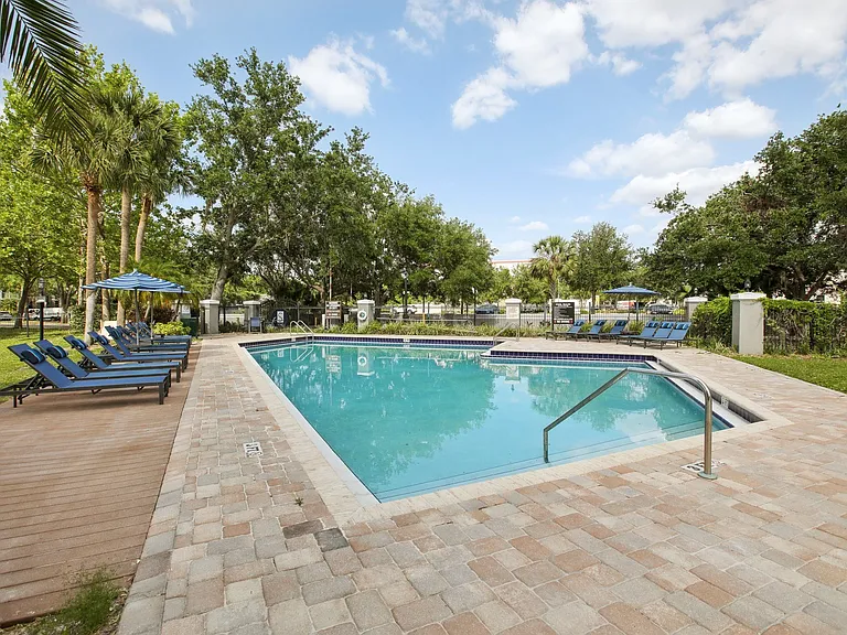 Sole at Citrus Park — Photo 30