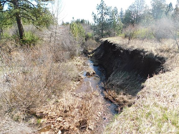 5th image of 627 Pine Creek Road