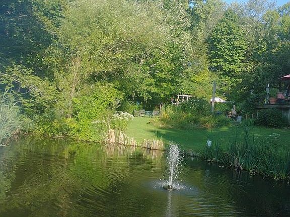 main pond