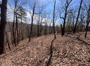 156 Drena Dr, Ellijay, GA 30540
