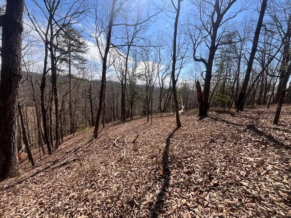 156 Drena Dr, Ellijay, GA 30540
