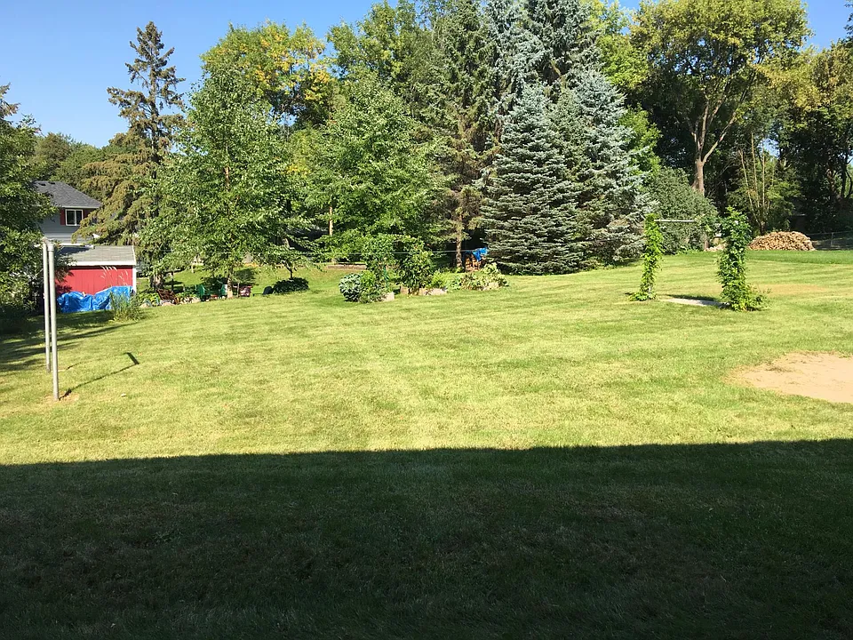 Back yard