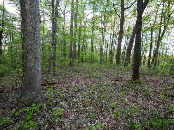 LOT 1 Cales Rd, Masontown, WV 26542
