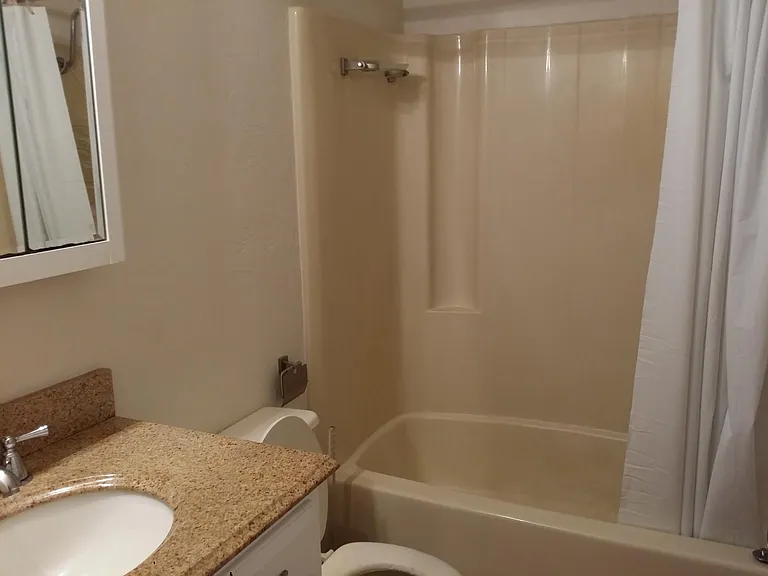 1755 Green Manor Dr #A — Photo 10
