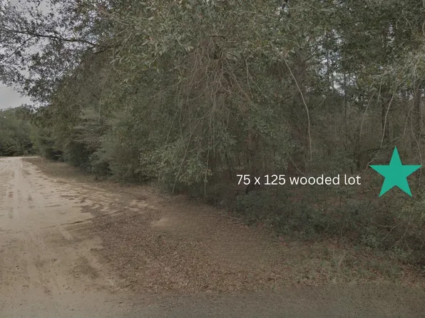 000 HEATHER Avenue, Interlachen, FL 32148