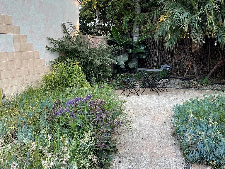 Back yard