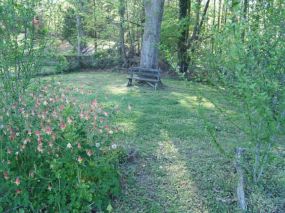 Lovely Backyard!