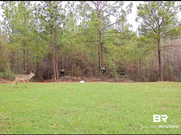 58979 Jack Springs Rd, Perdido, AL 36562