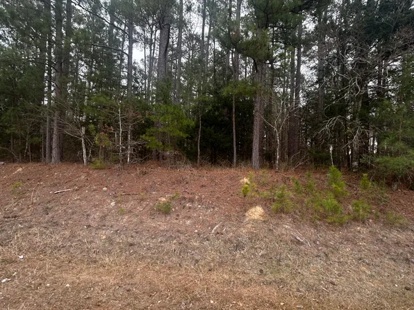 16.9 Ac Hwy 220 E, Lincolnton, GA 30817