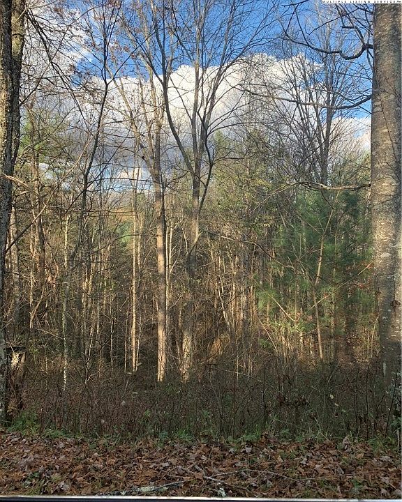 2nd image of TBD Old Mountain Road