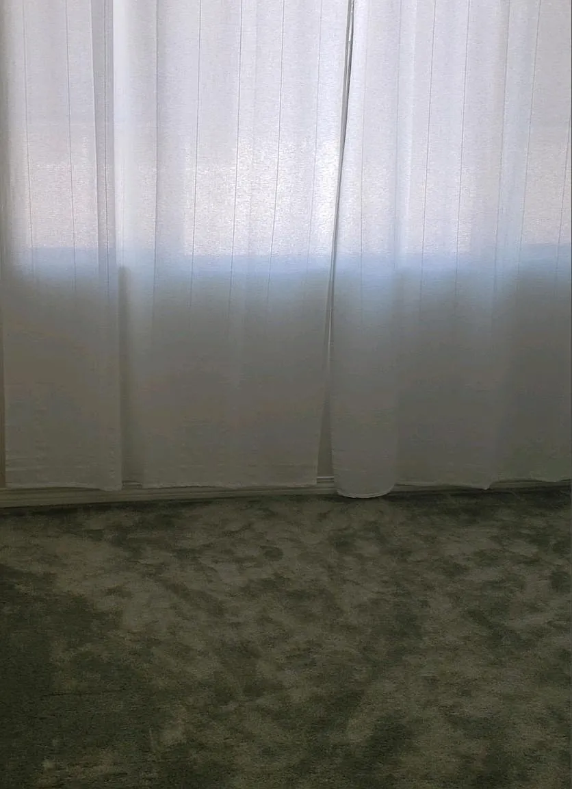 1 bed, 105 sqft, $1,050 — Photo 2