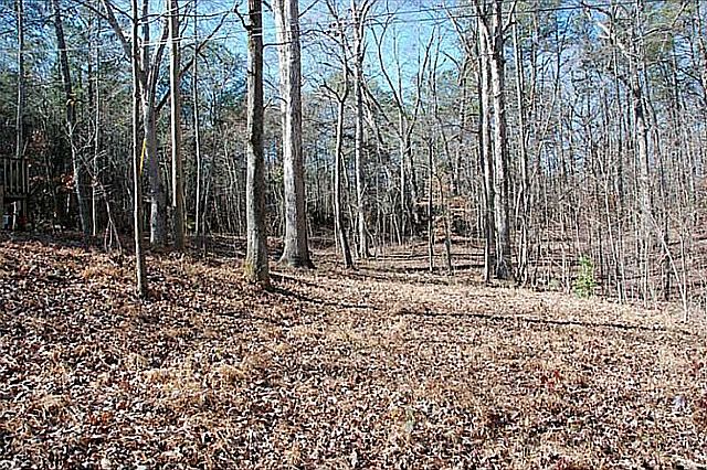 2nd image of 410 Twin Mountain Lake Cir