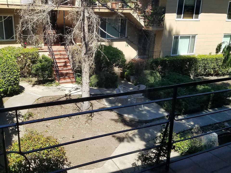 Shared Court Yard