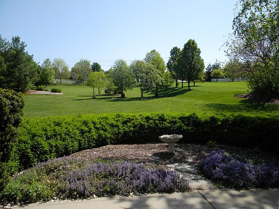 Patio overlooking lot