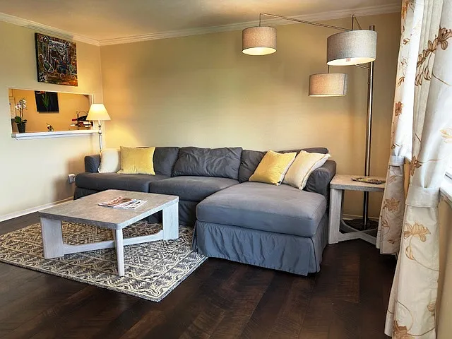 Living room with comfortable couch and plenty of light