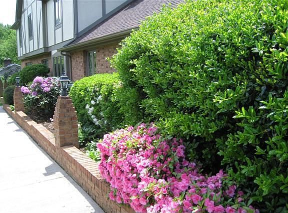 2nd image of 2983 Quail Dr