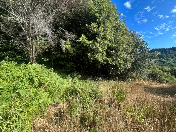 306 Oak Dr, Whitethorn, CA 95589