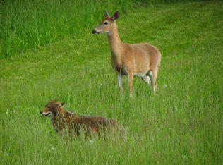 6225 Three Mile Rd NE, Ada, MI 49301