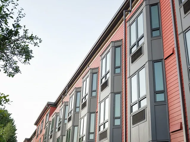 Bay Windows