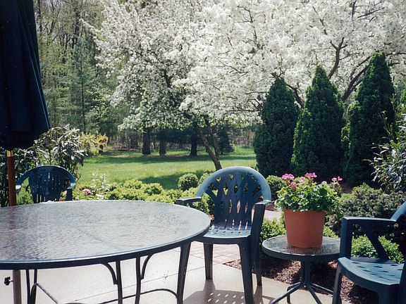 View from Back Porch