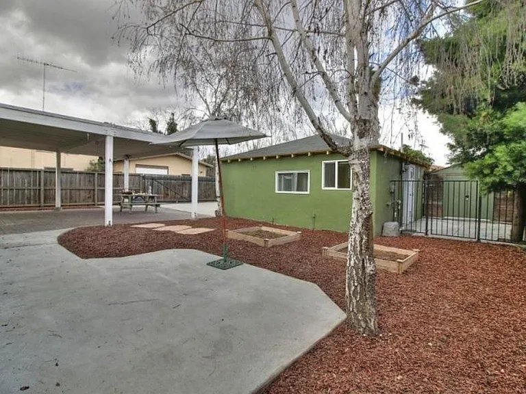 Backyard view