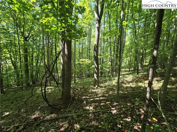 Lot 34 Walter Drive, West Jefferson, NC 28694