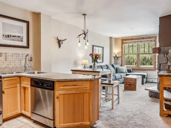 100 Dercum Sq N #8386, Dillon, CO 80435