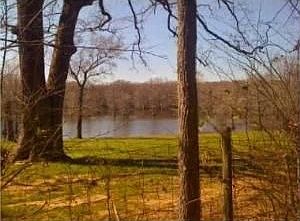 3rd image of 422 Coventry Ct