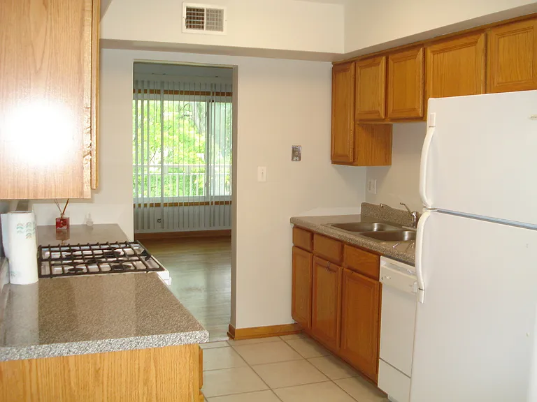 4903 N Harlem Ave #3 — Photo 4