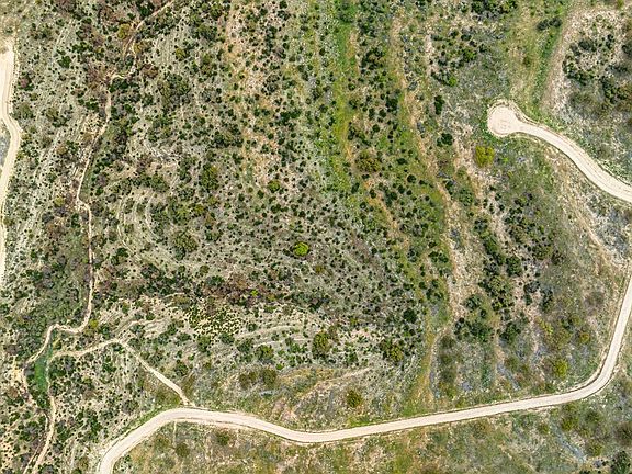 3rd image of 141 Spring Blf