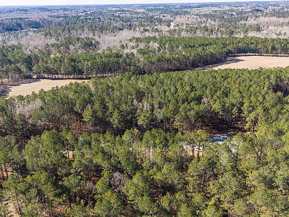 3rd image of 1020 Fleming Lake Court